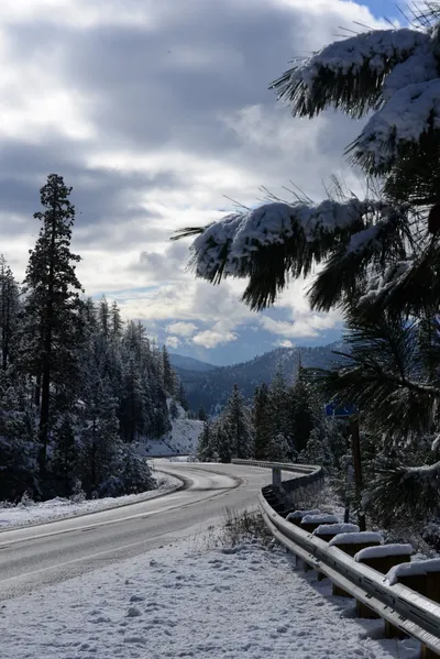 DSC_0775 (Large).JPG